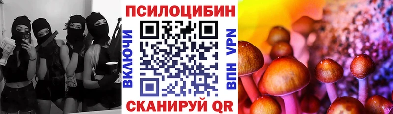 Купить  Железногорск-Илимский  Псилоцибиновые грибы Psilocybe 