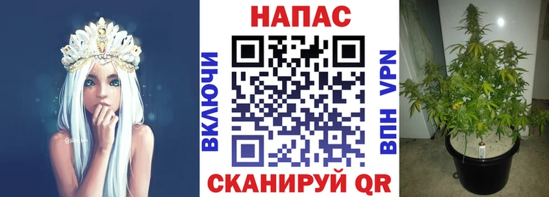 Купить закладки  Железногорск-Илимский  Шишки марихуана тримм 